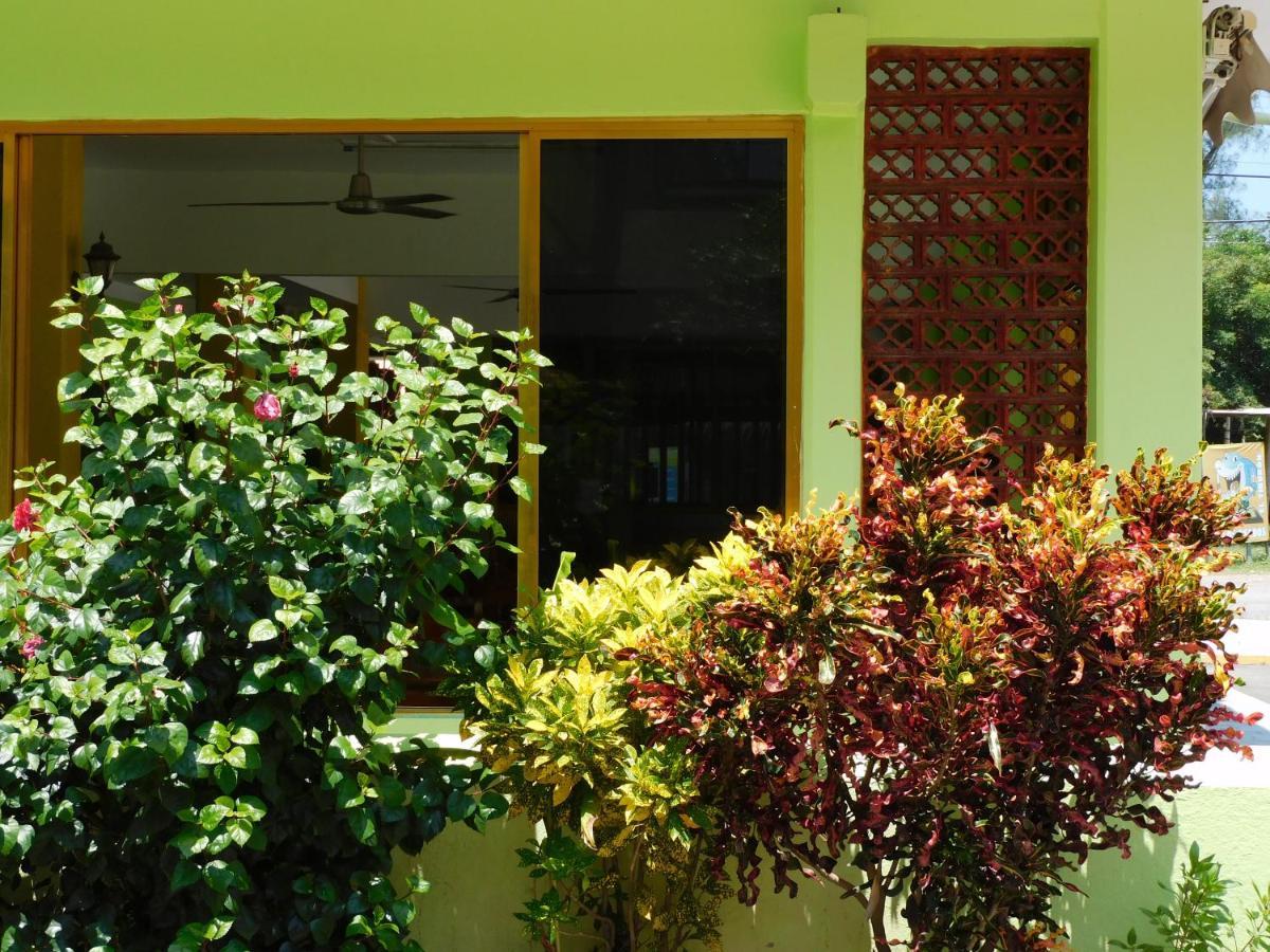 Casa De Huespedes Yoli By Rotamundos Hotel Playa Chachalacas Eksteriør billede